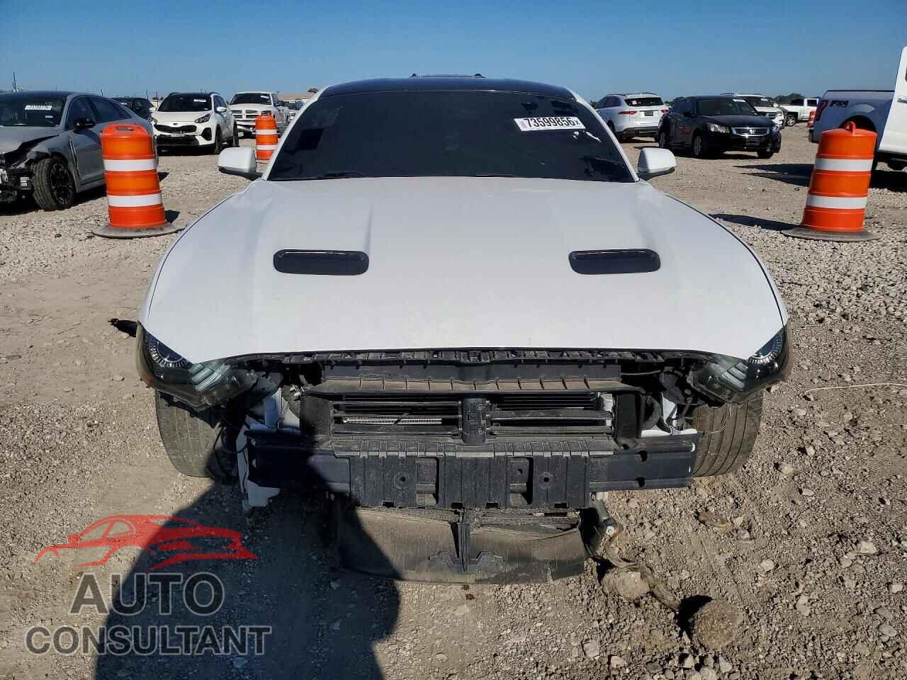 FORD MUSTANG 2019 - 1FA6P8CF7K5152843