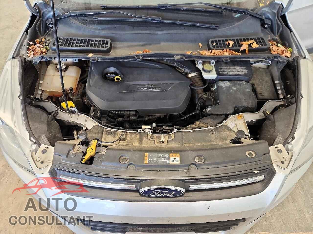 FORD ESCAPE 2014 - 1FMCU9GX7EUE13232