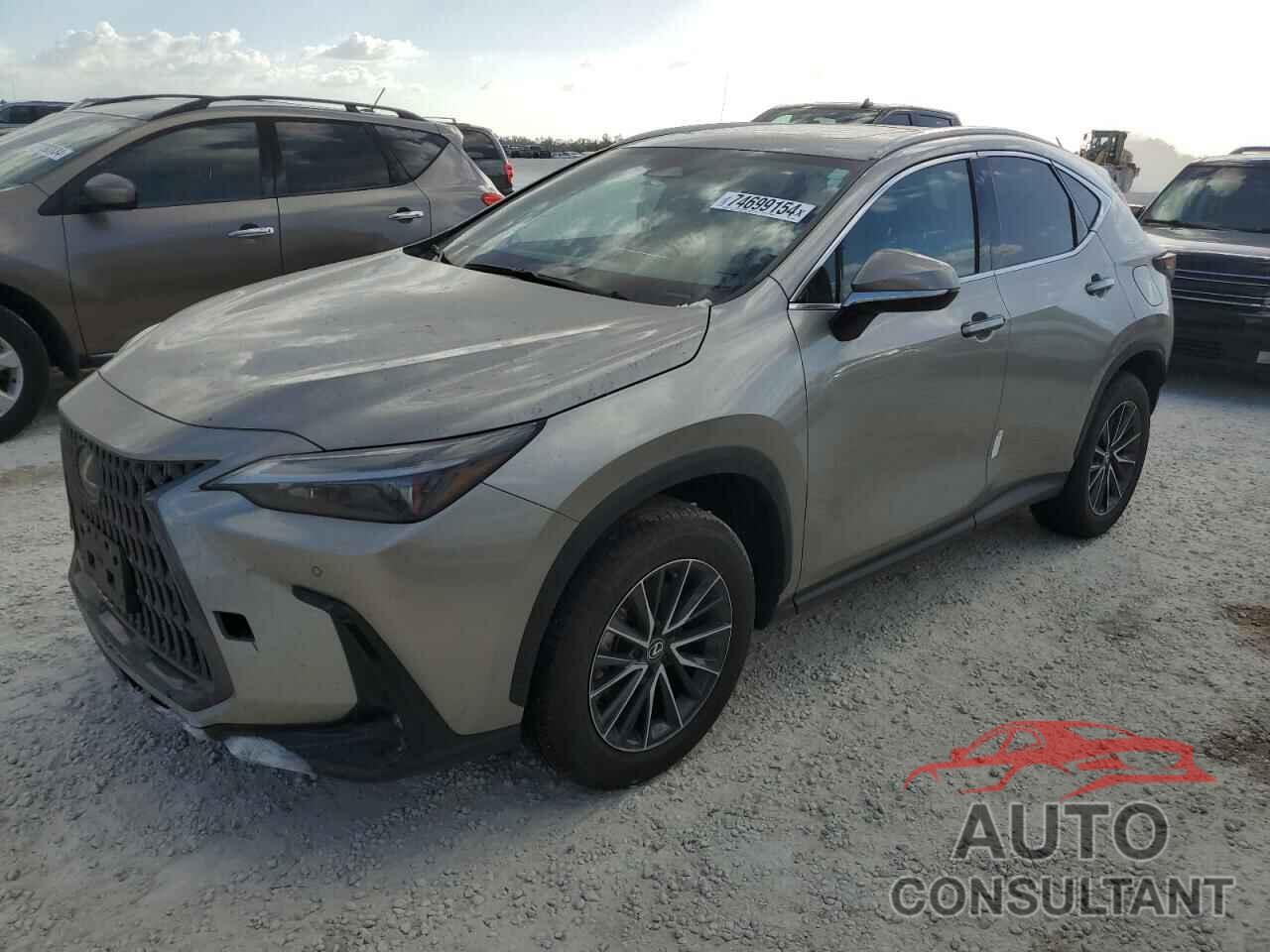 LEXUS NX 250 PRE 2024 - 2T2GDCAZ9RC013295