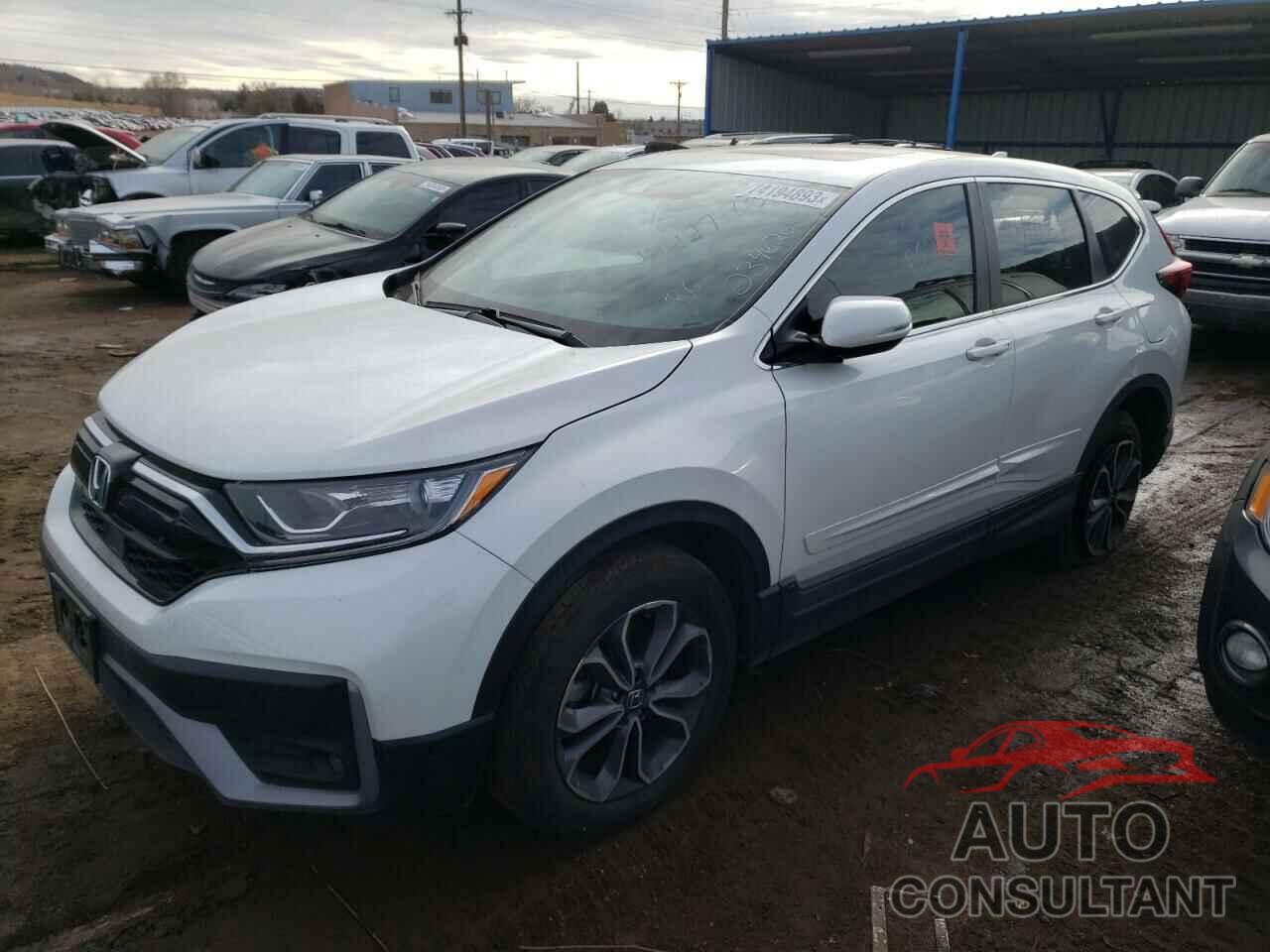 HONDA CRV 2022 - 2HKRW2H80NH665941