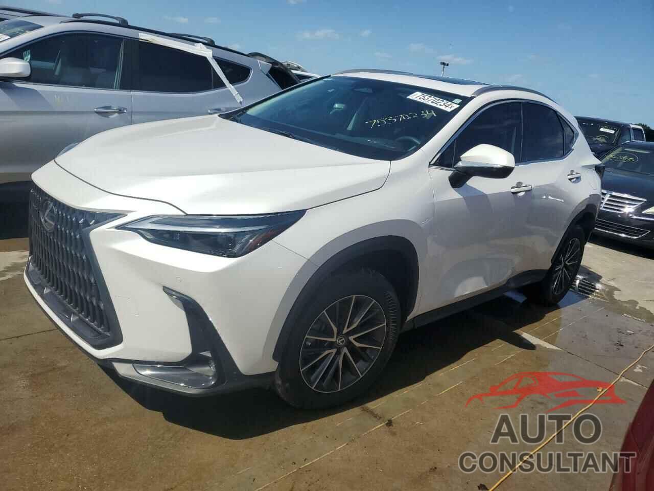 LEXUS NX 250 PRE 2024 - 2T2GDCAZ7RC007723