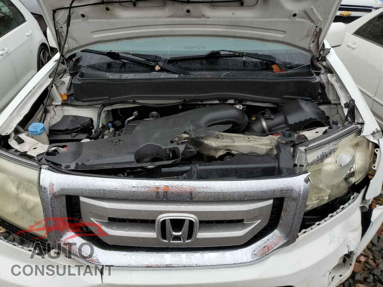 HONDA PILOT 2011 - 5FNYF4H51BB031836