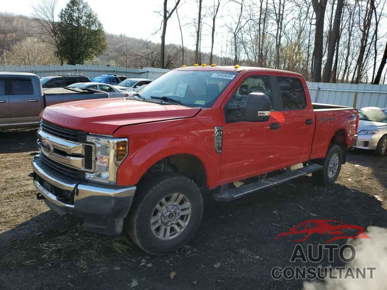 FORD F250 2019 - 1FT7W2B67KED78736