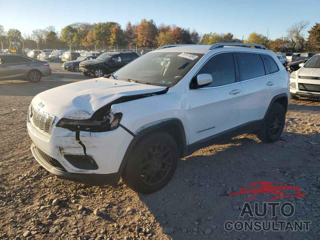 JEEP GRAND CHER 2019 - 1C4PJMCBXKD311575
