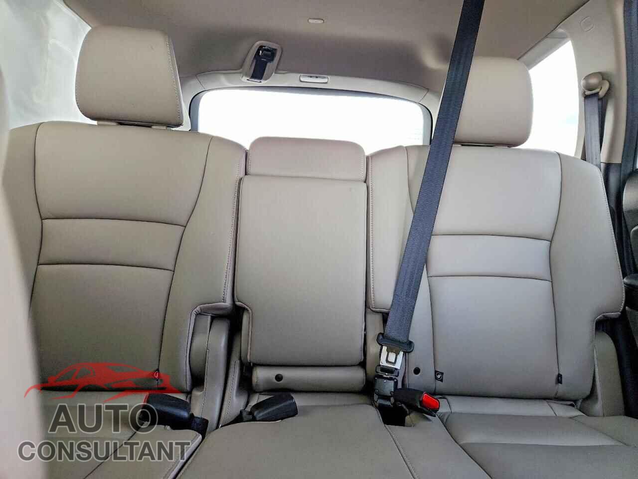 HONDA PILOT 2019 - 5FNYF6H95KB045706