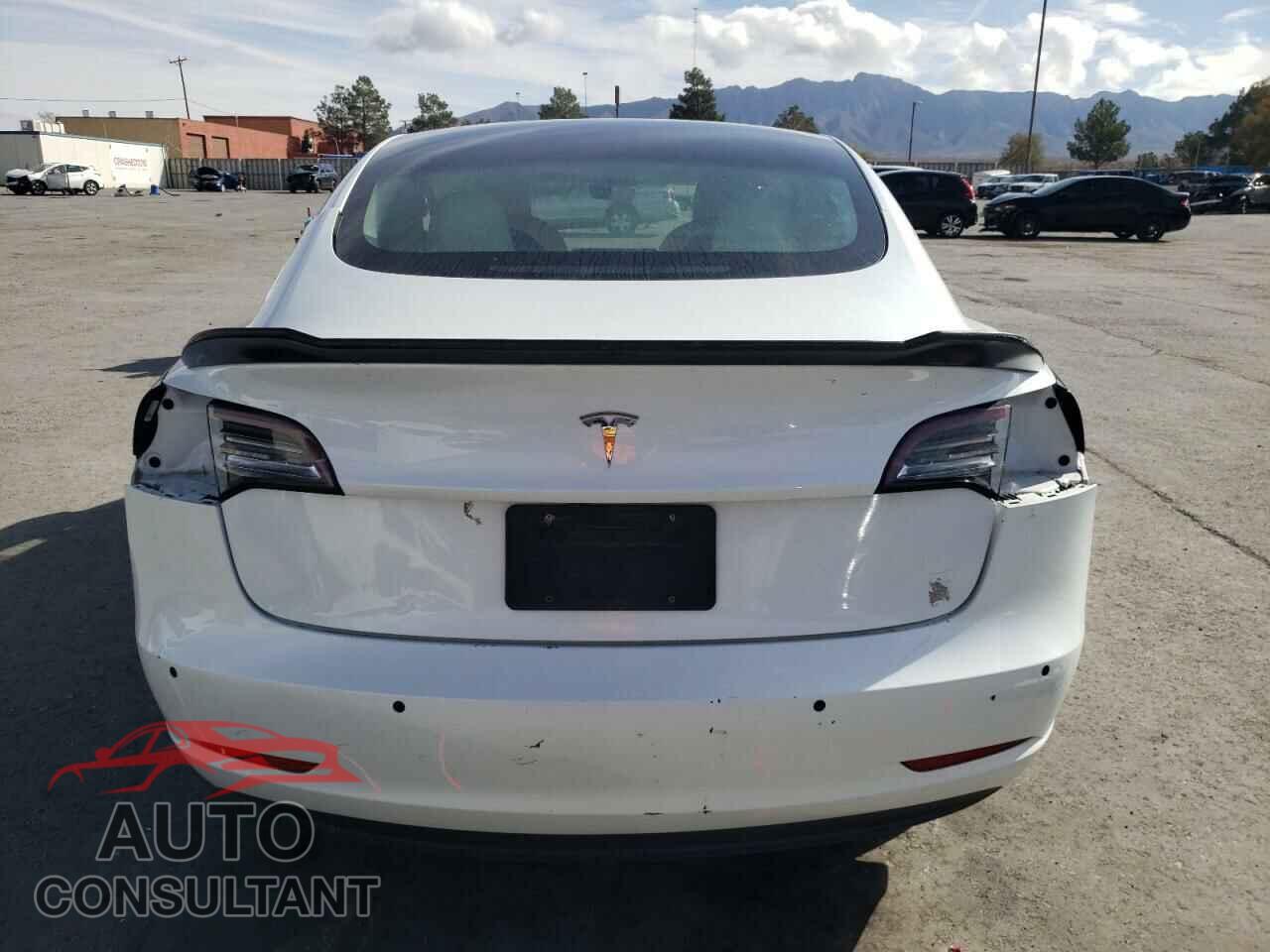 TESLA MODEL 3 2021 - 5YJ3E1EA2MF854372