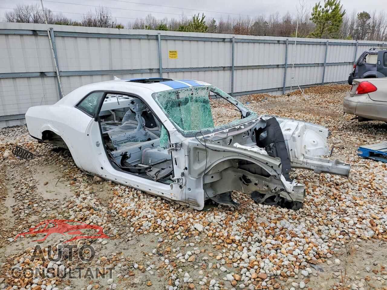 DODGE CHALLENGER 2019 - 2C3CDZL9XKH679911