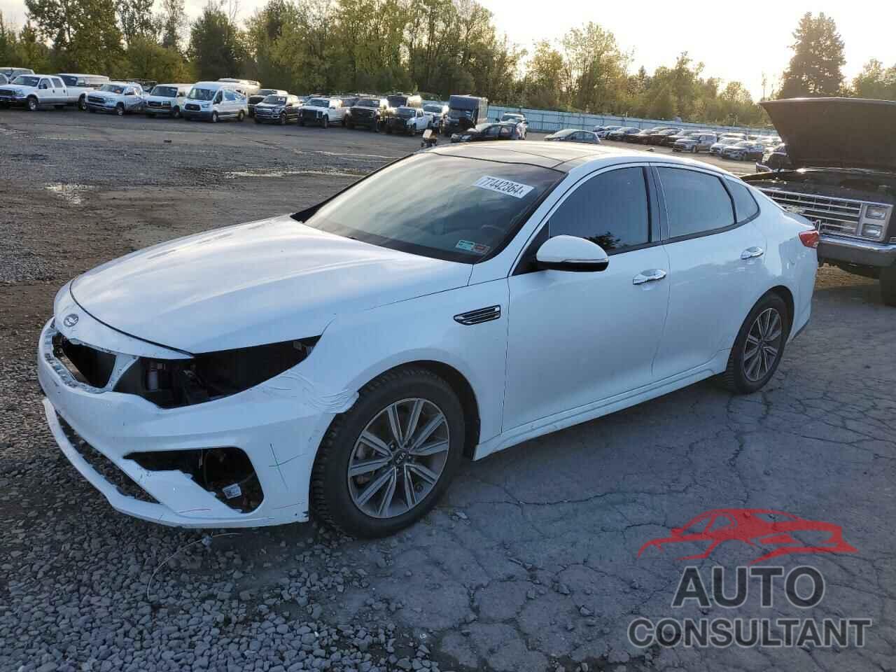 KIA OPTIMA 2019 - 5XXGT4L37KG300168