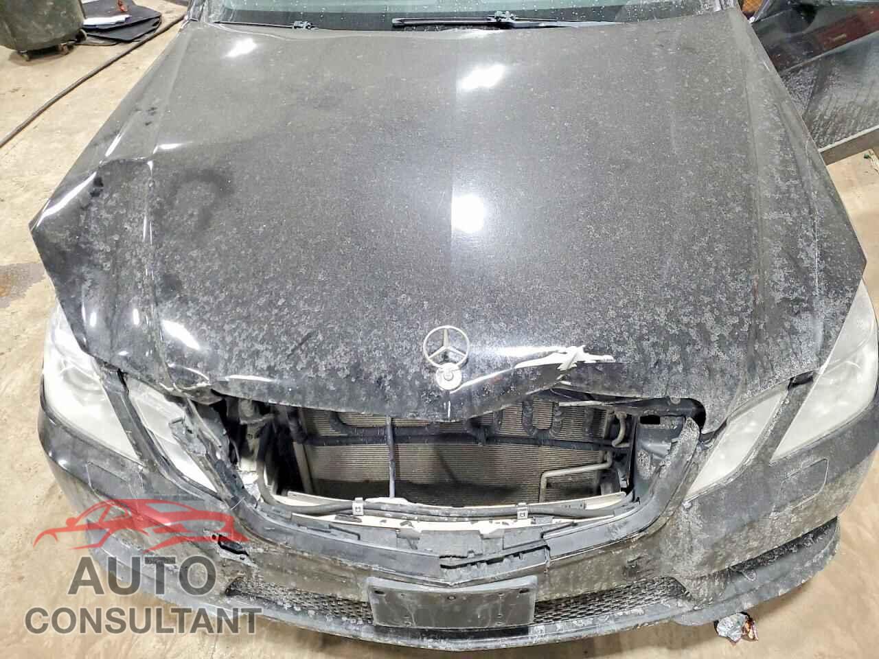 MERCEDES-BENZ E-CLASS 2011 - WDDHF8HB4BA430185