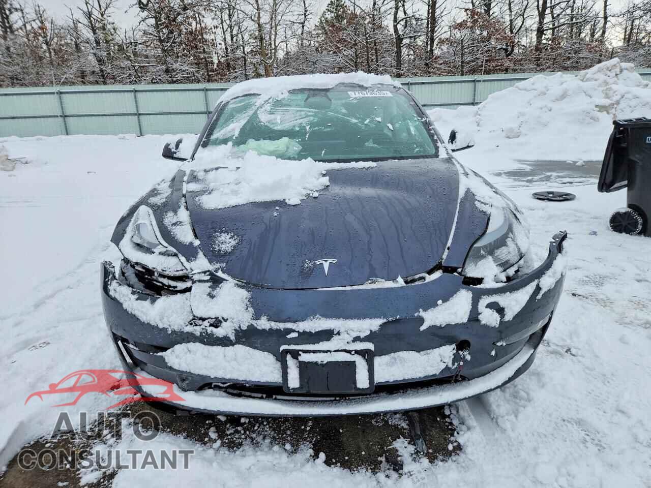 TESLA MODEL 3 2023 - 5YJ3E1EA1PF689757