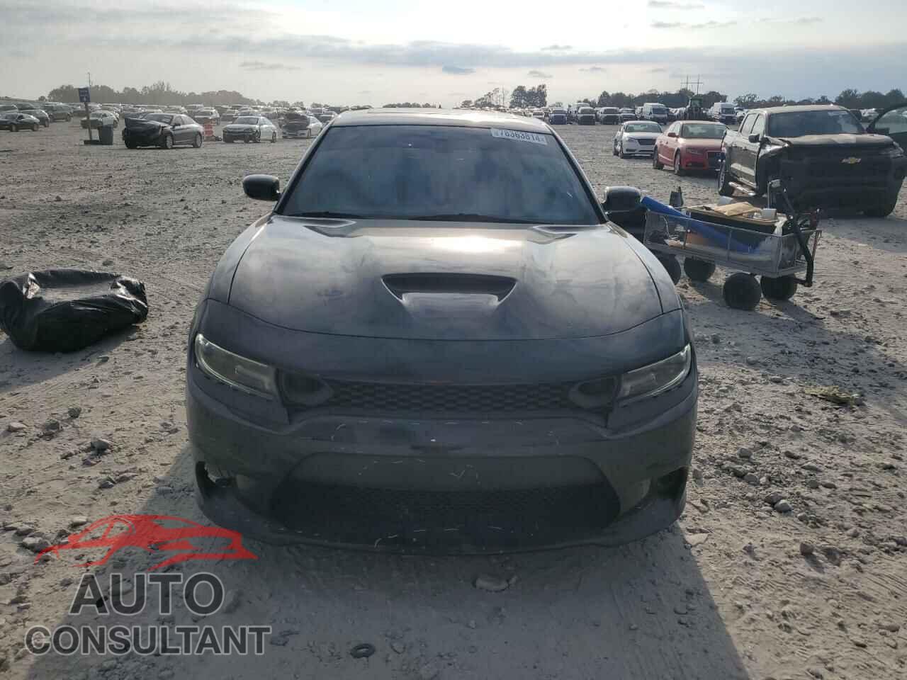 DODGE CHARGER 2019 - 2C3CDXCT4KH554502