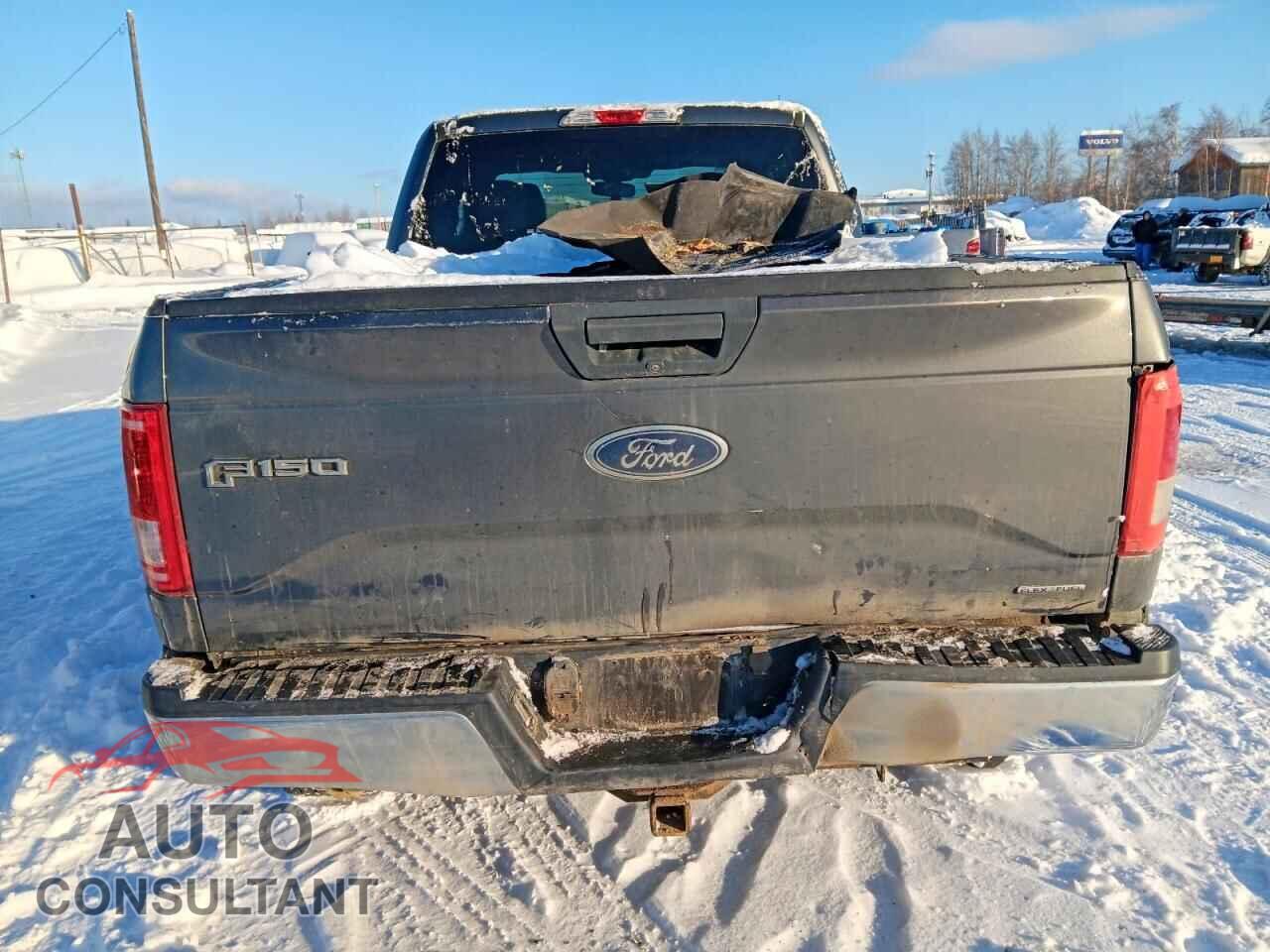 FORD F-150 2015 - 1FTFX1EF3FKF23549