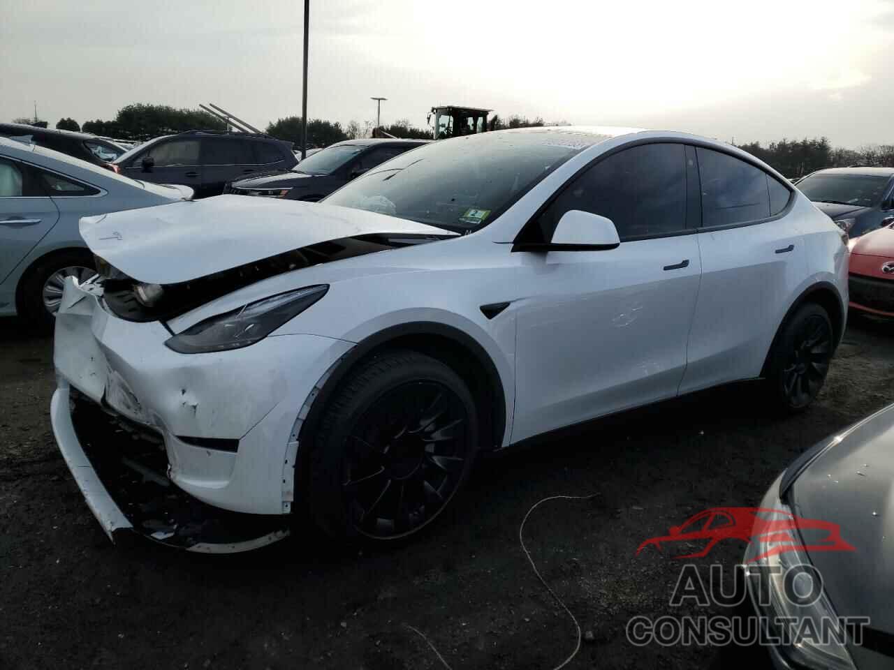 TESLA MODEL Y 2023 - 7SAYGAEE7PF671446