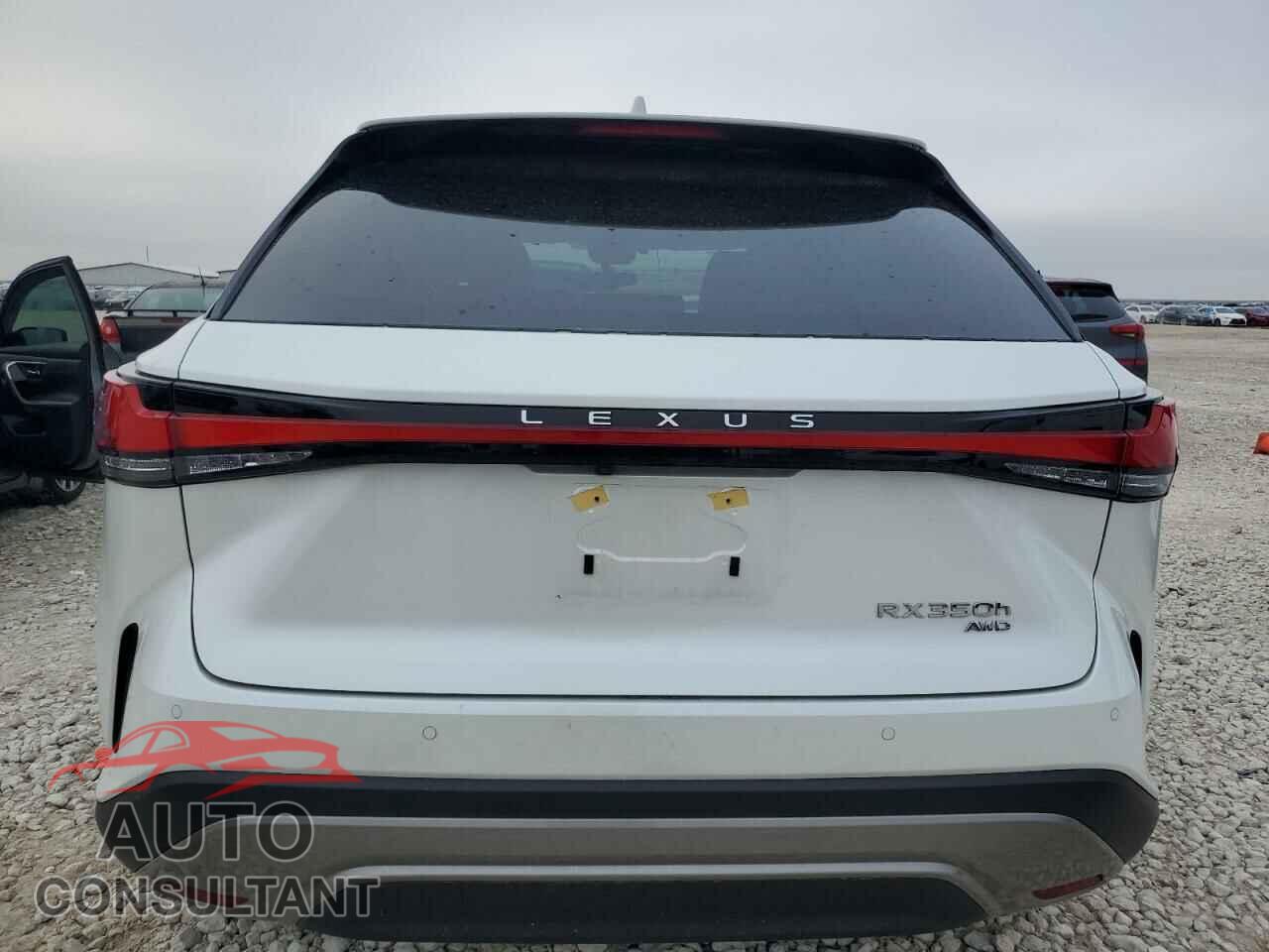 LEXUS RX 350H BA 2024 - 2T2BBMCA7RC034966