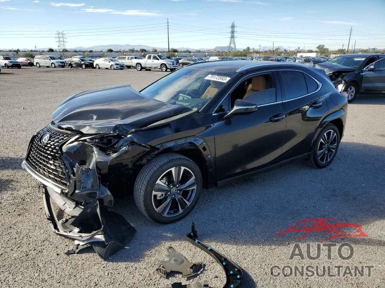 LEXUS UX 250H PR 2024 - JTHP9JBH8R2076725