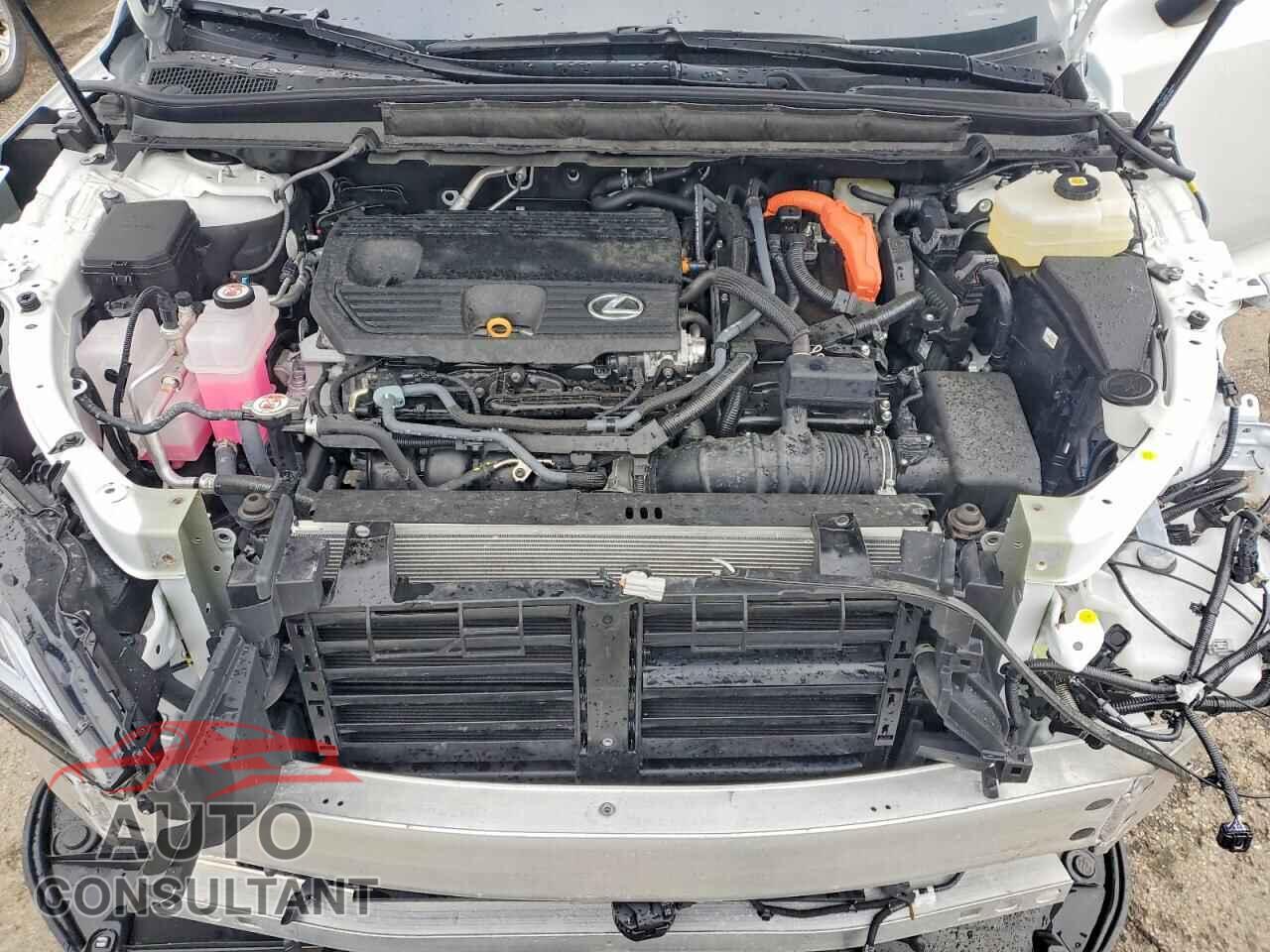 LEXUS RX 350H 2025 - 2T2BBMCA5SC092046