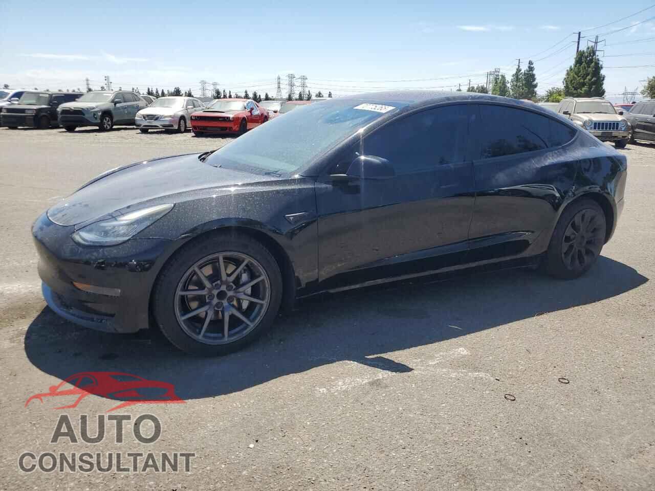 TESLA MODEL 3 2019 - 5YJ3E1EA5KF306220