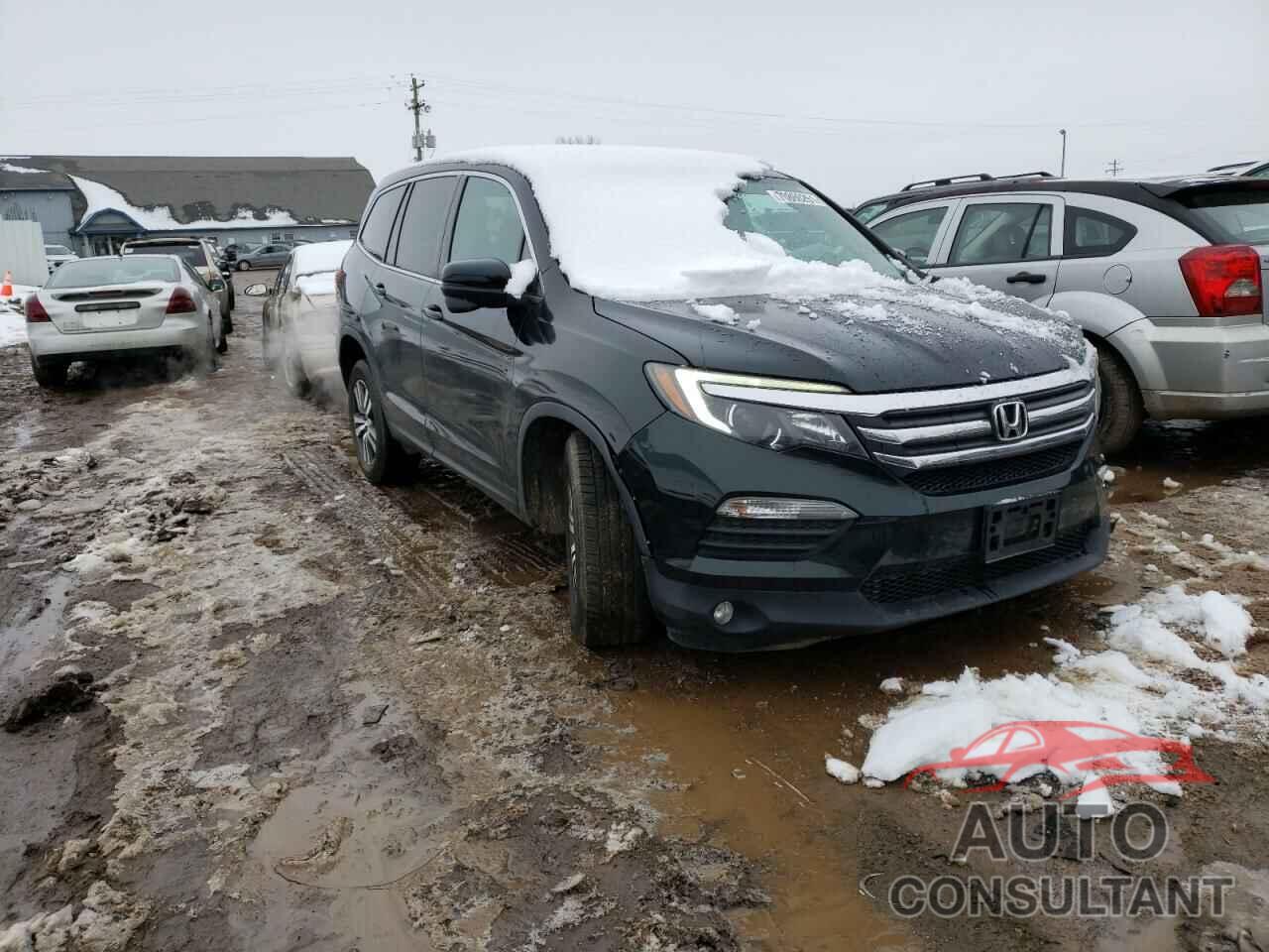 HONDA PILOT 2016 - 5FNYF6H5XGB066216