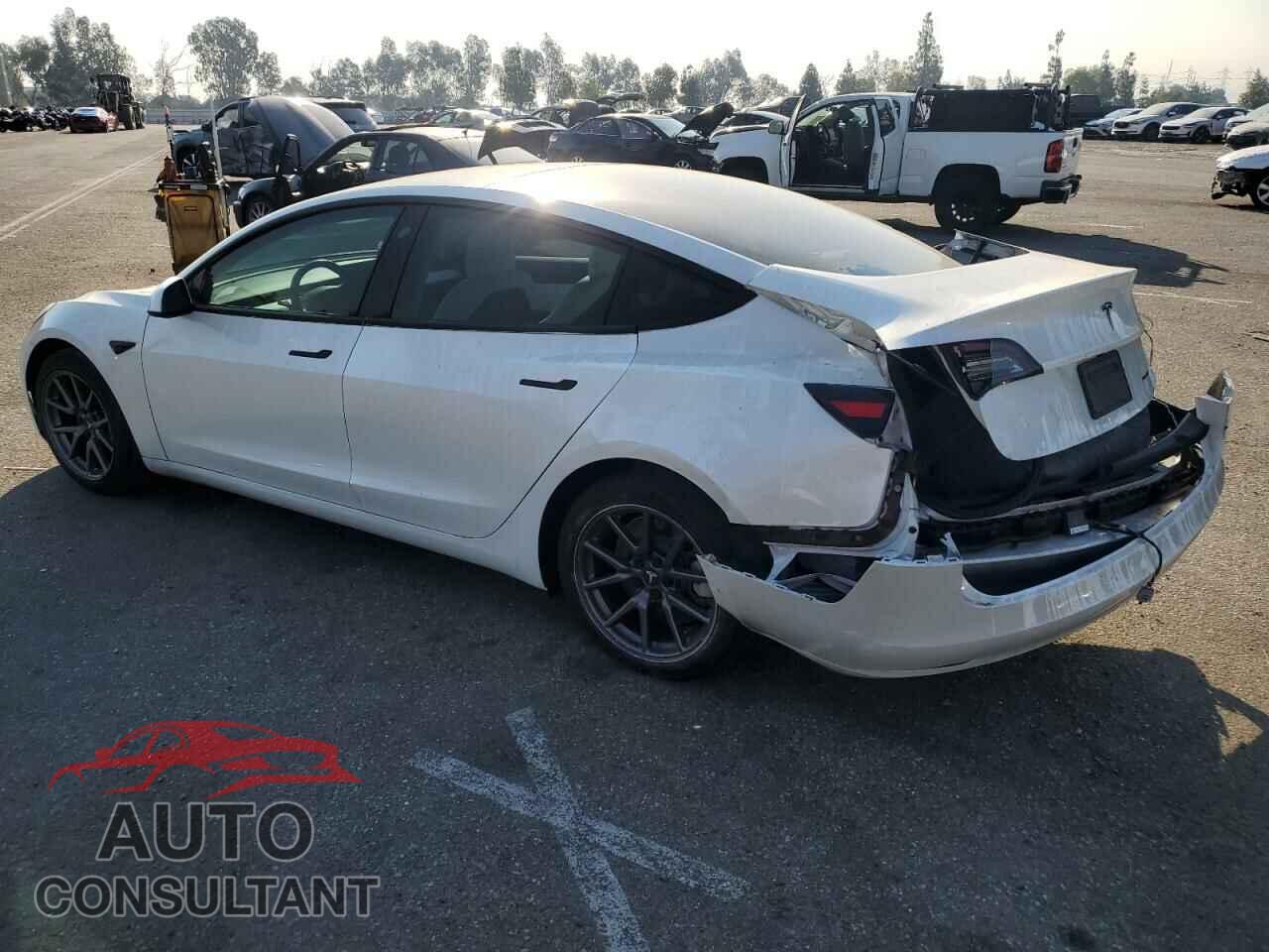 TESLA MODEL 3 2020 - 5YJ3E1EB7LF651663