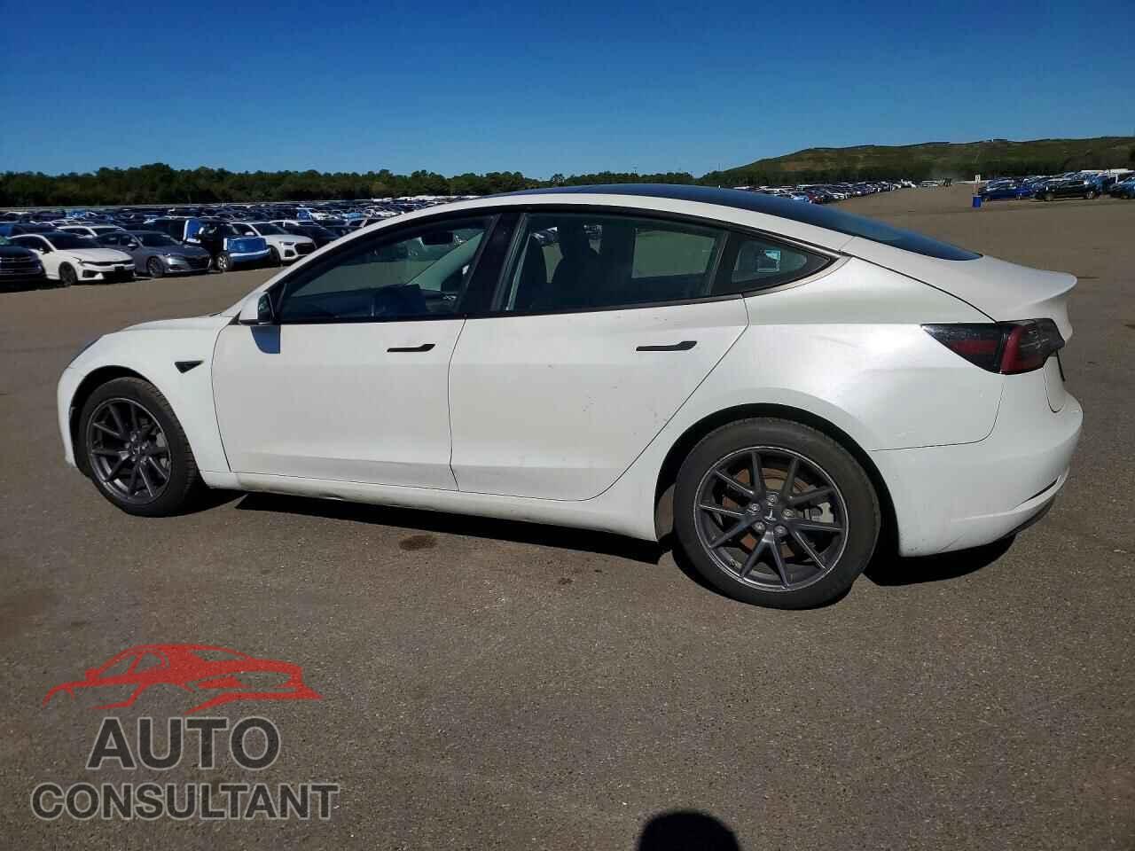 TESLA MODEL 3 2021 - 5YJ3E1EA5MF030253