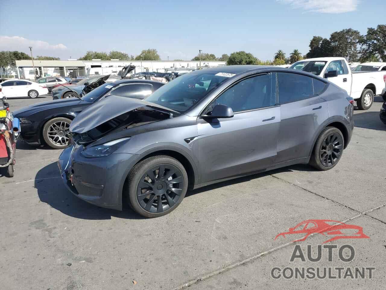 TESLA MODEL Y 2023 - 7SAYGDEE7PF948274