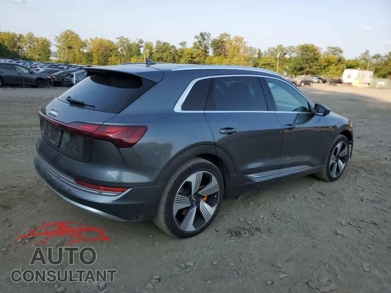 AUDI E-TRON 2019 - WA1VAAGE1KB006580