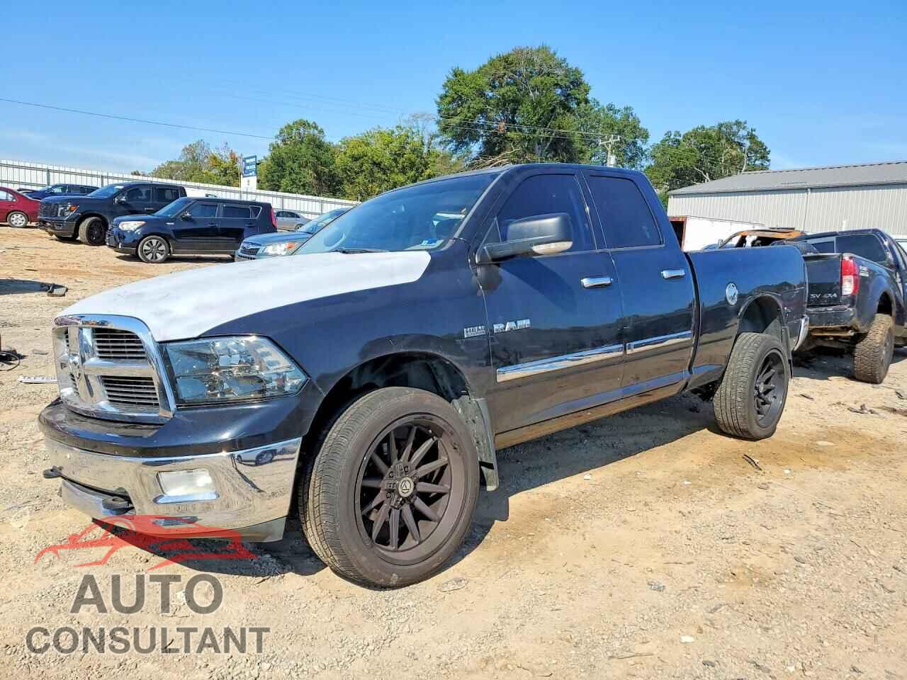 DODGE RAM 1500 2010 - 1D7RB1GT2AS125889