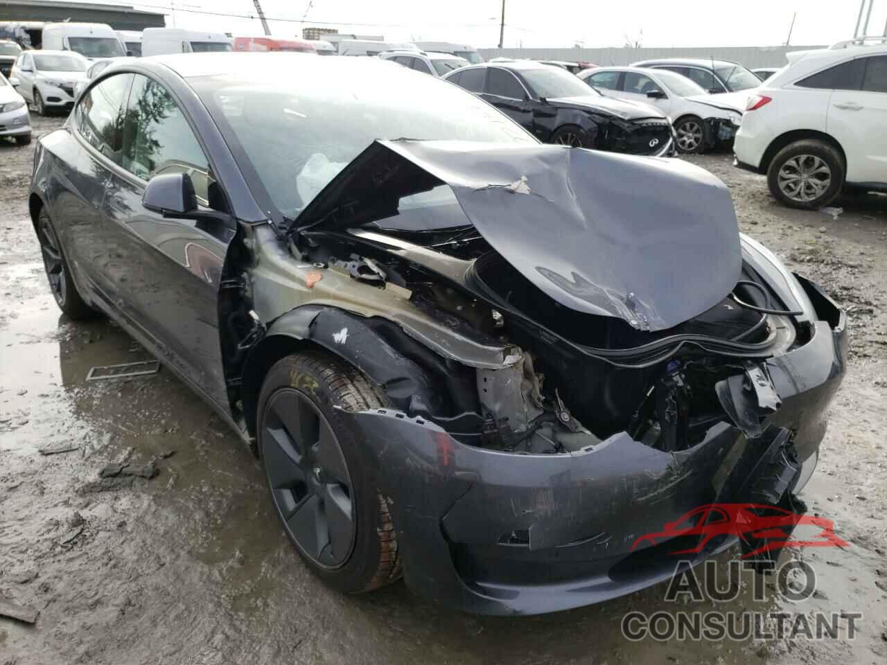 TESLA MODEL 3 2021 - 5YJ3E1EB0MF974650