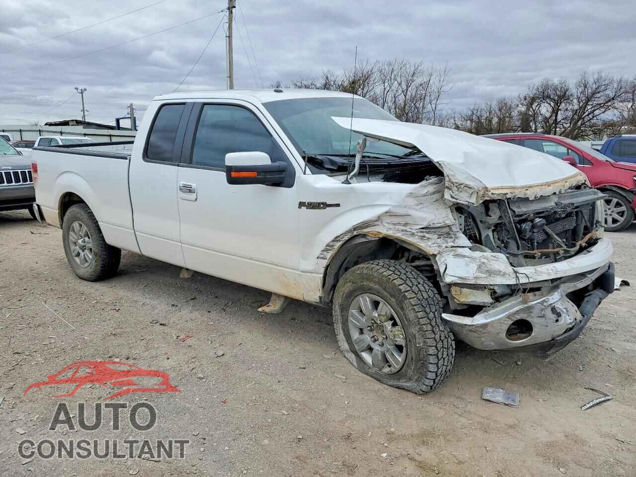 FORD F-150 2012 - 1FTFX1CF8CFA70262