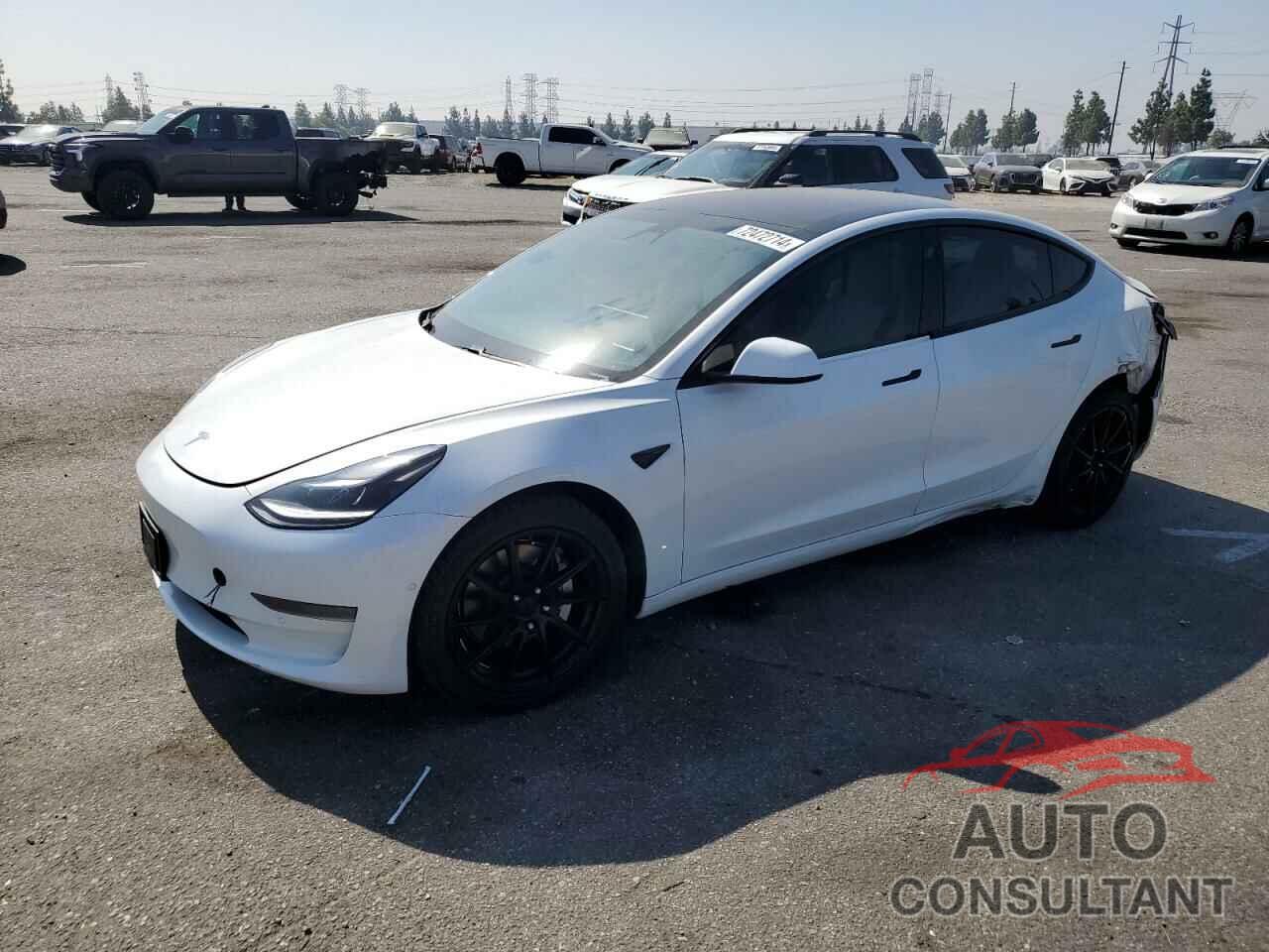 TESLA MODEL 3 2021 - 5YJ3E1EAXMF066035