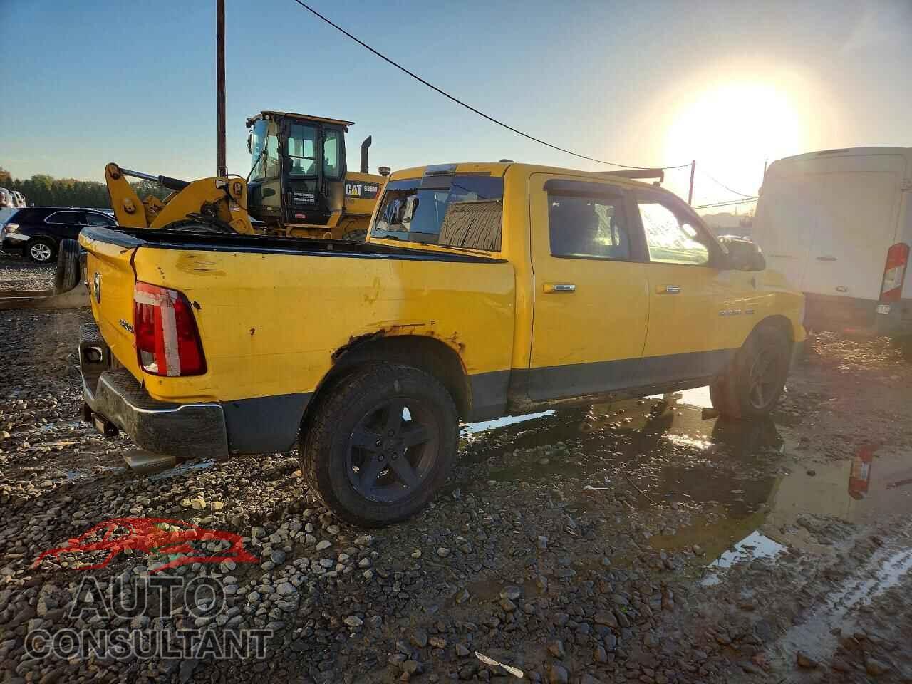 DODGE RAM 1500 2009 - 1D3HV13T09S717734