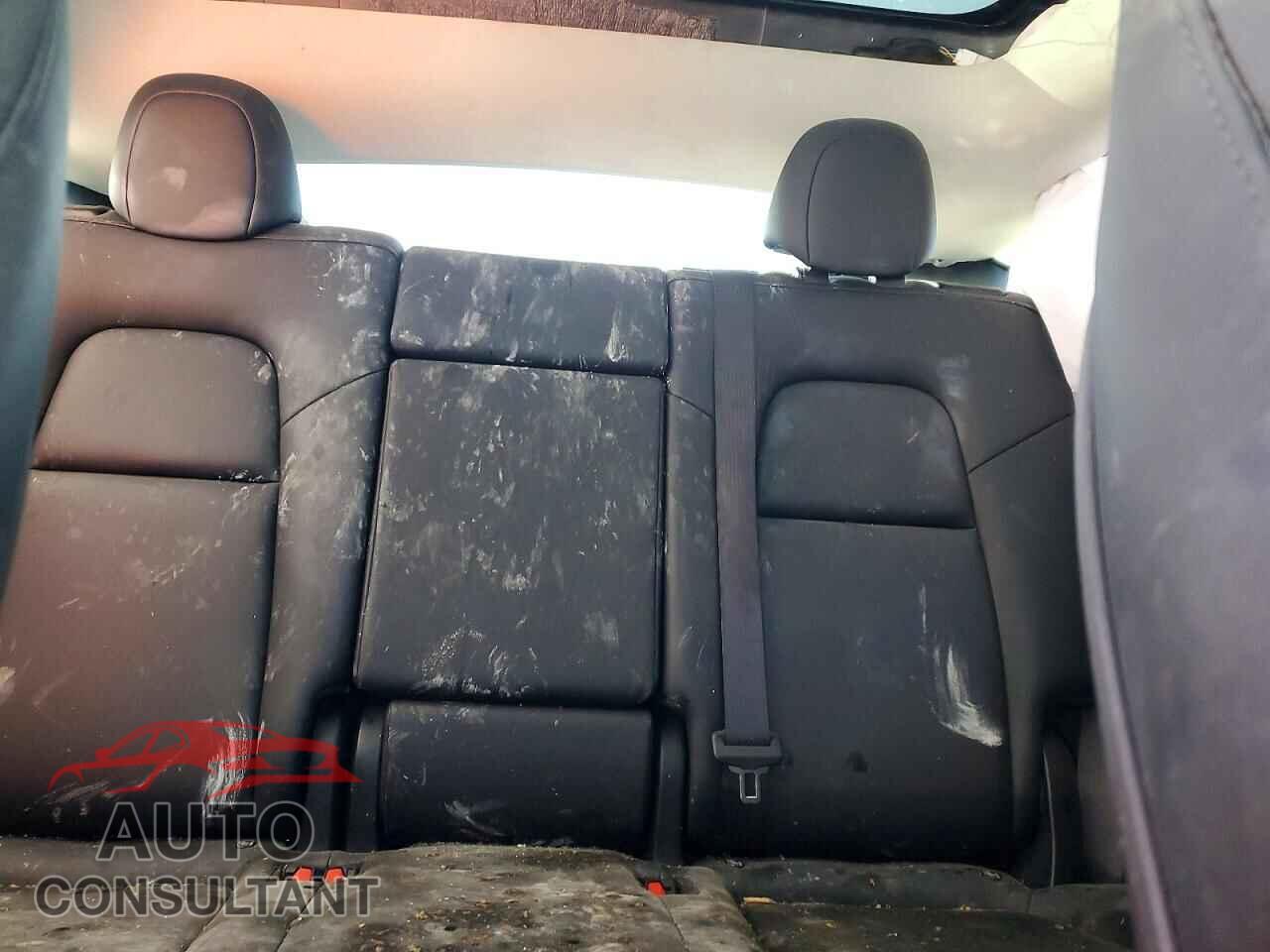 TESLA MODEL Y 2024 - 7SAYGDED1RF105309