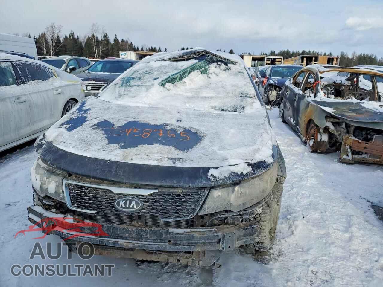 KIA FORTE 2013 - KNAFU4A22D5647401