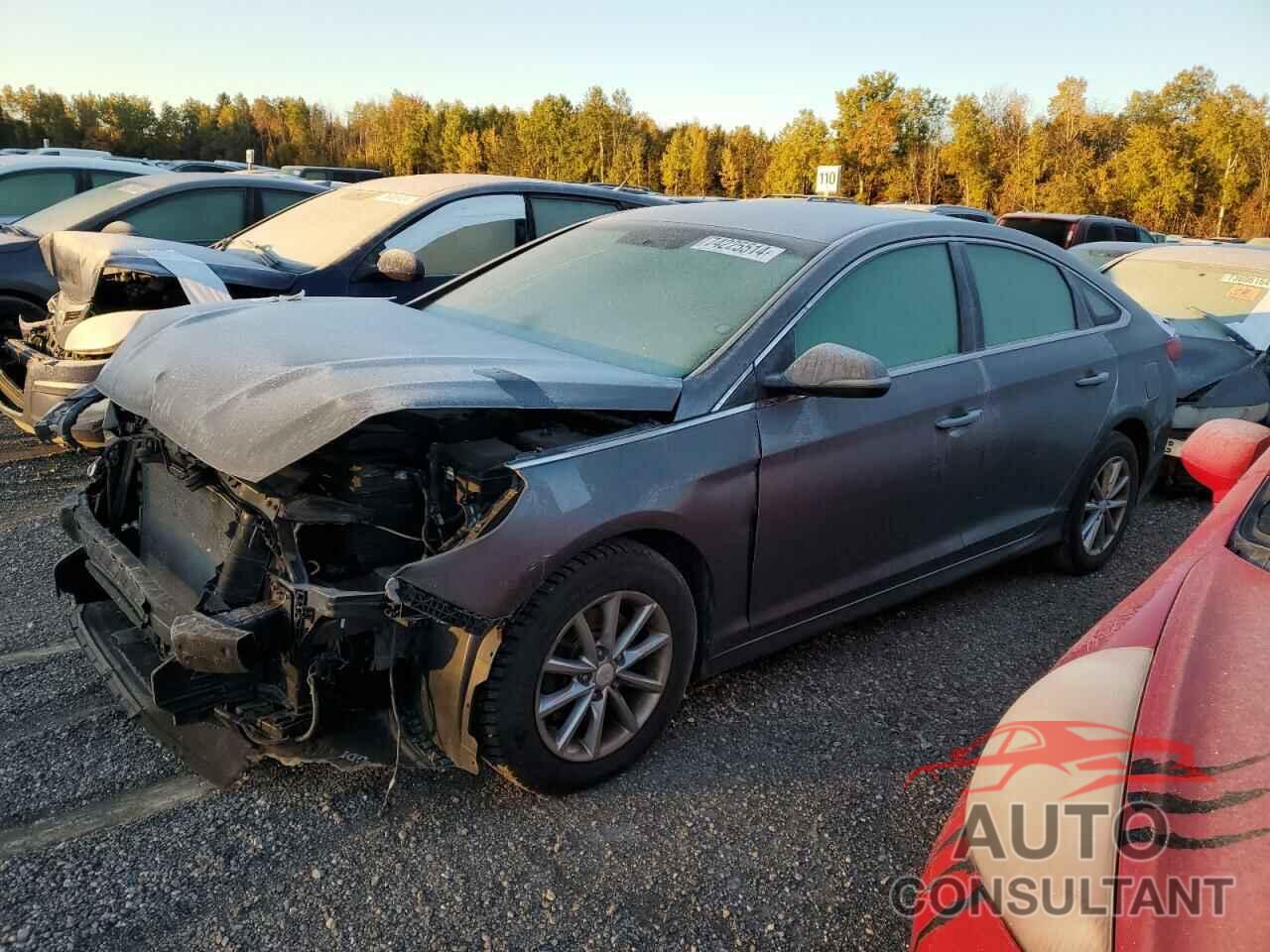 HYUNDAI SONATA 2018 - 5NPE24AF0JH627246