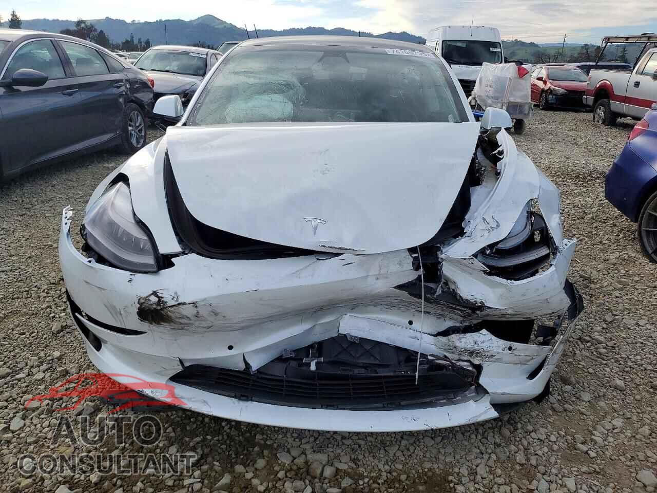 TESLA MODEL 3 2021 - 5YJ3E1EA5MF871862