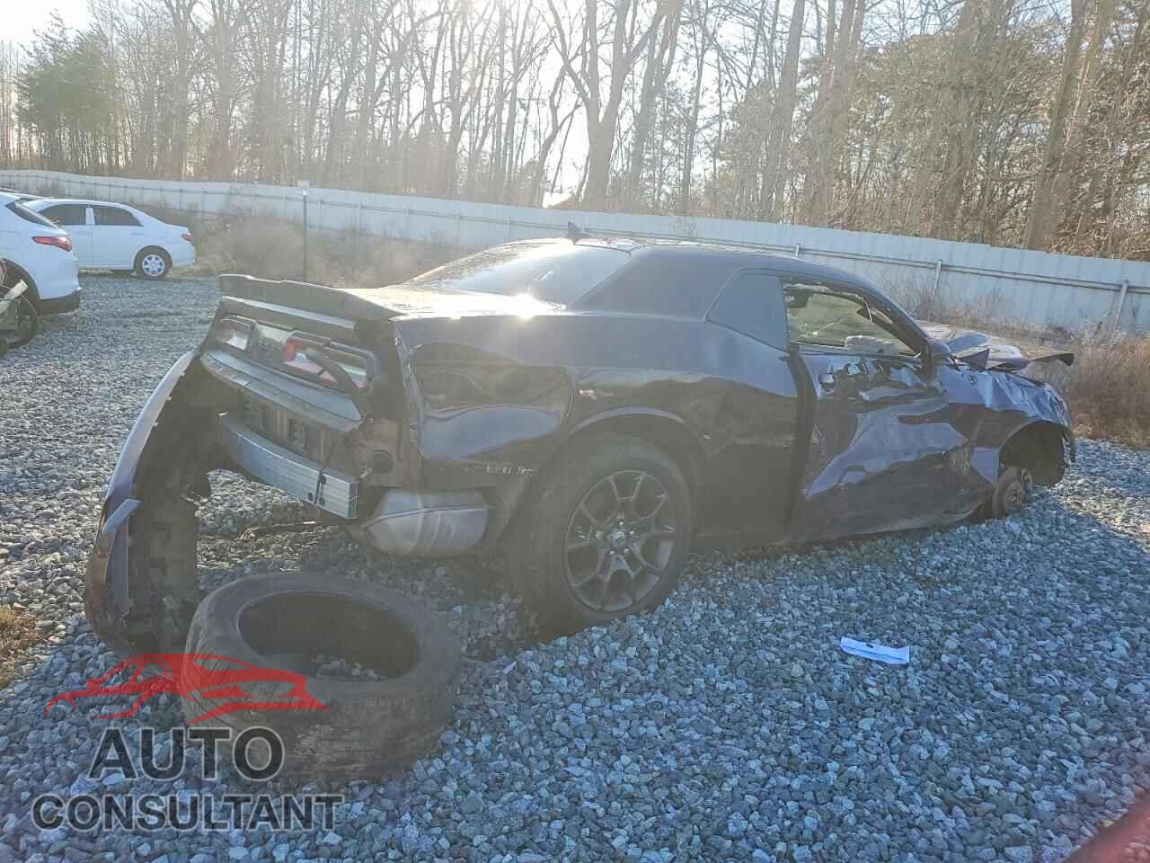 DODGE CHALLENGER 2021 - 2C3CDZKG9MH501183