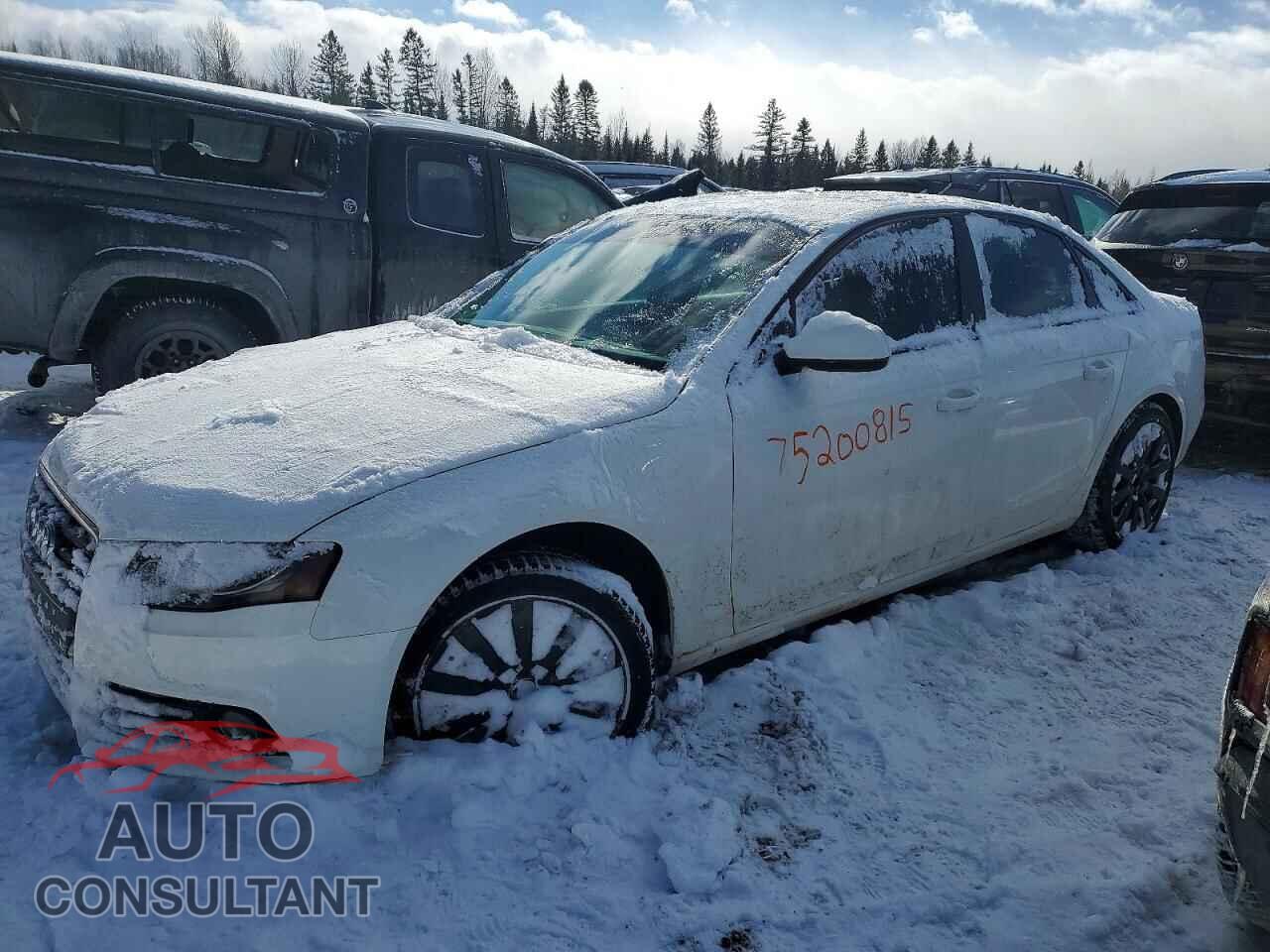 AUDI A4 2011 - WAUBFCFL0BN042276