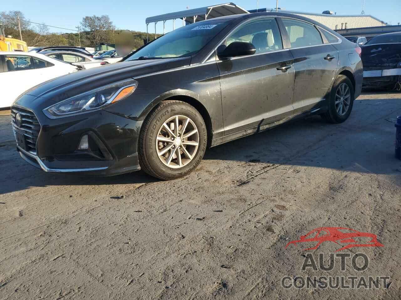 HYUNDAI SONATA 2019 - 5NPE24AF7KH790543