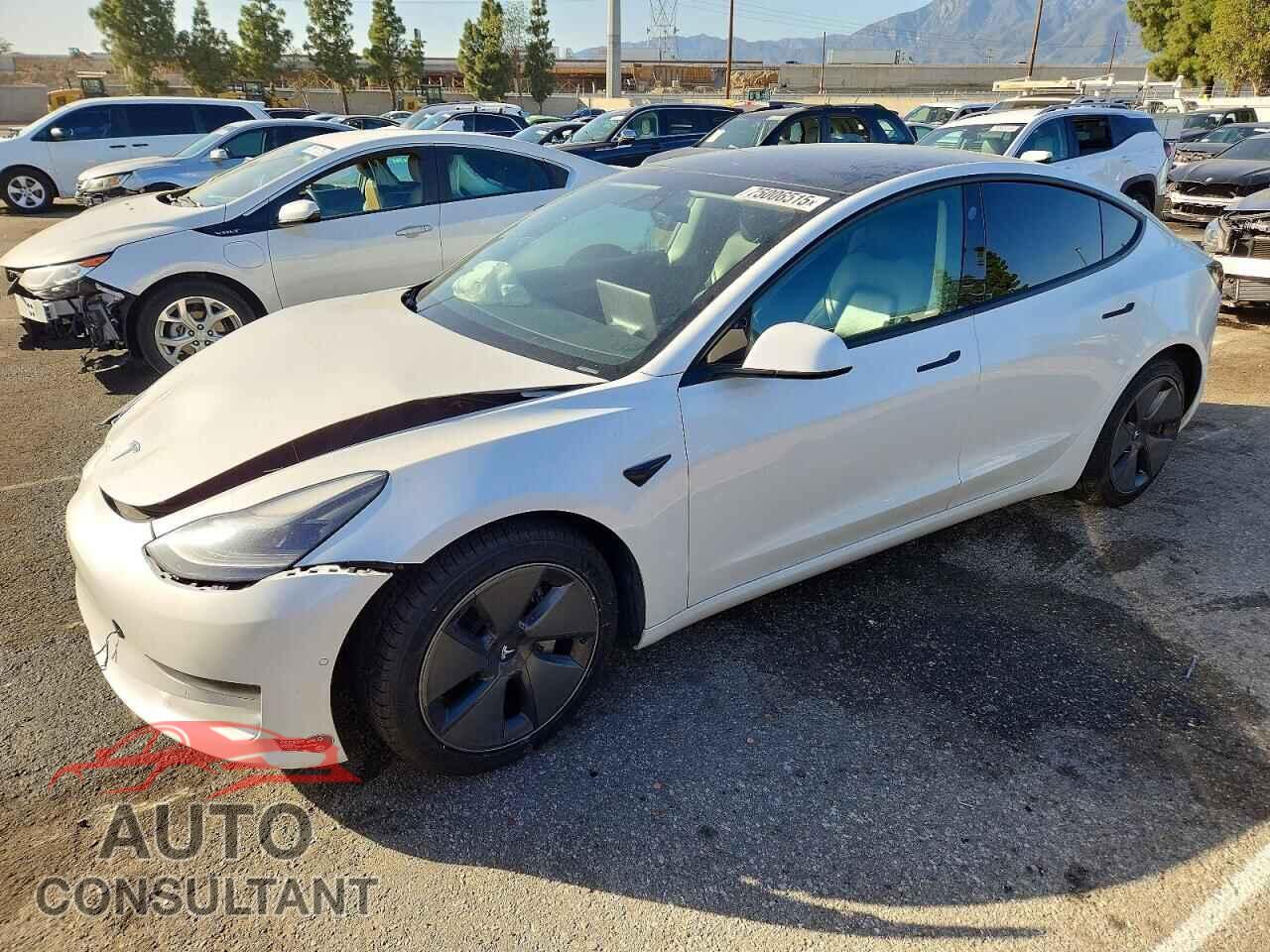 TESLA MODEL 3 2021 - 5YJ3E1EAXMF021385