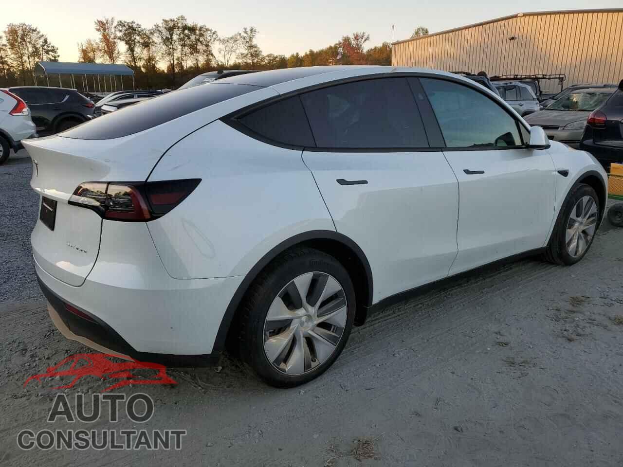 TESLA MODEL Y 2024 - 7SAYGAEE7RF091388