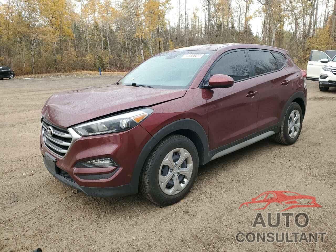 HYUNDAI TUCSON 2017 - KM8J23A48HU540777