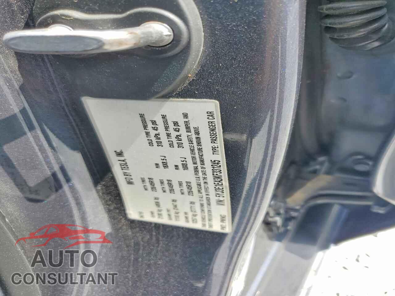 TESLA MODEL 3 2019 - 5YJ3E1EA3KF331245