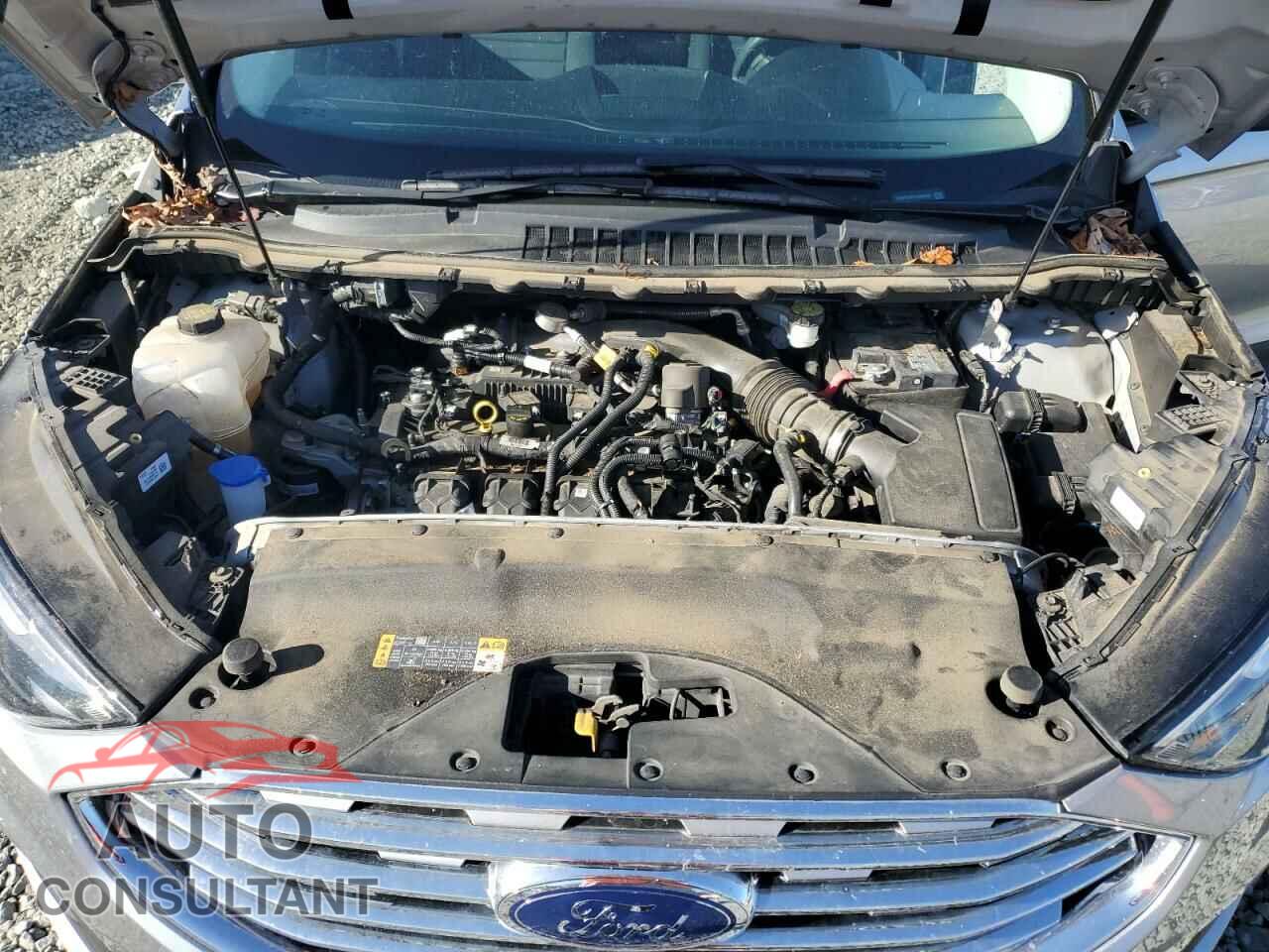 FORD EDGE 2020 - 2FMPK3G91LBB06809