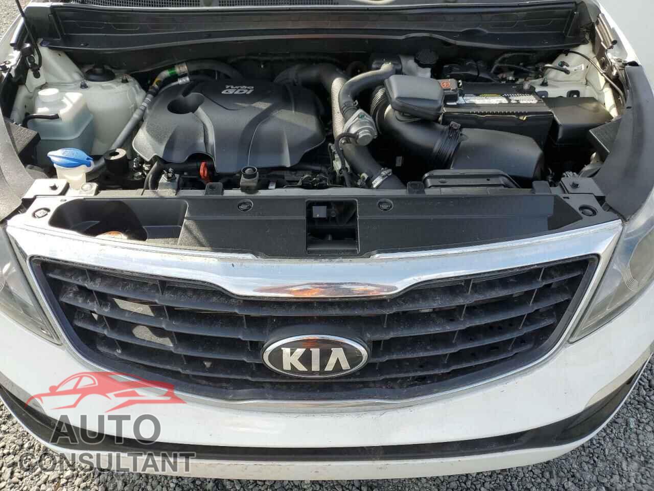 KIA SPORTAGE 2016 - KNDPC3A61G7828232