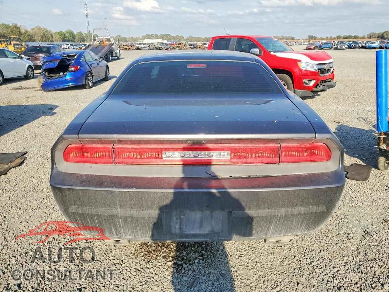 DODGE CHALLENGER 2014 - 2C3CDYAG9EH149641