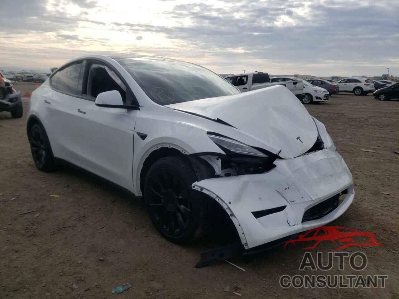 TESLA MODEL Y 2020 - 5YJYGDEE8LF011098