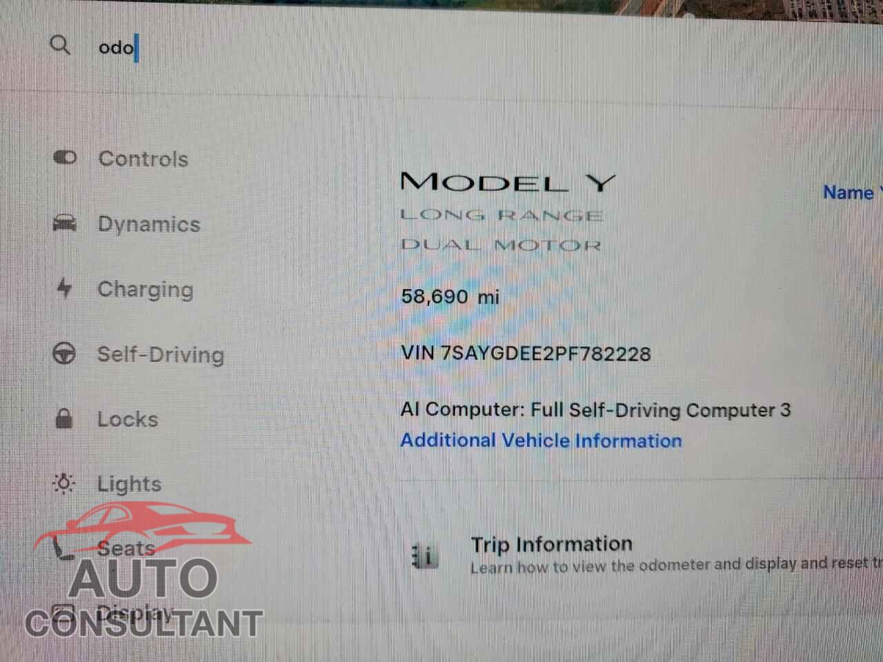 TESLA MODEL Y 2023 - 7SAYGDEE2PF782228