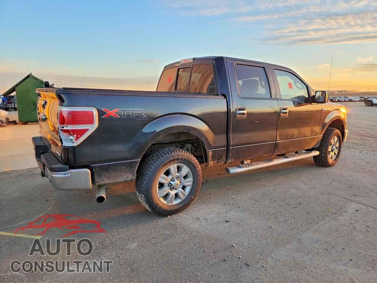 FORD F150 2013 - 1FTFW1EFXDFD50797