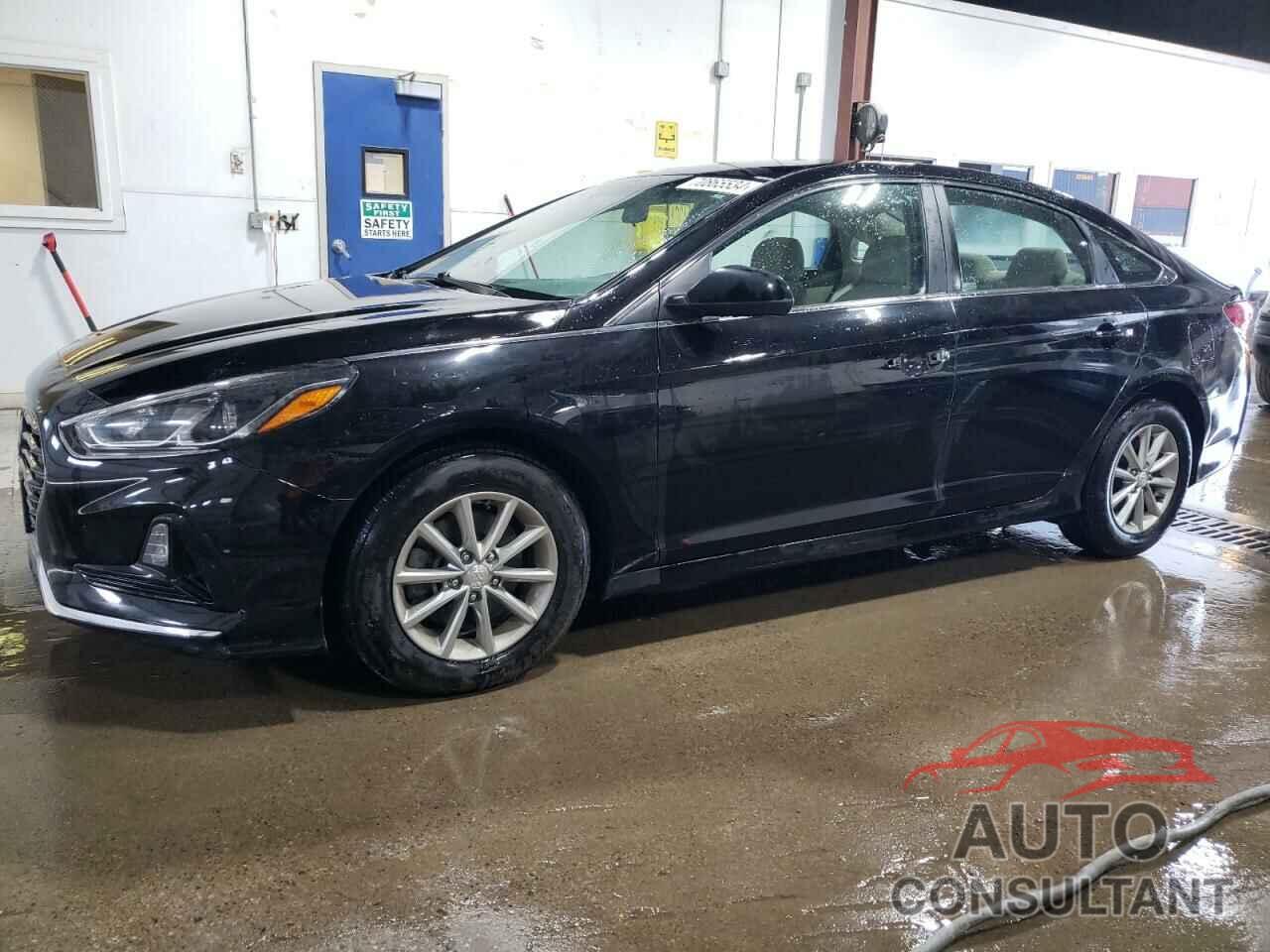 HYUNDAI SONATA 2019 - 5NPE24AF3KH817432