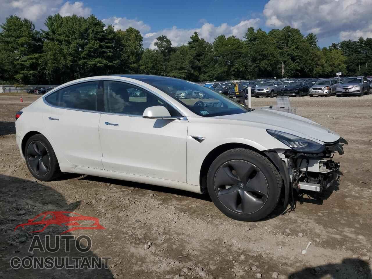 TESLA MODEL 3 2019 - 5YJ3E1EB8KF511894